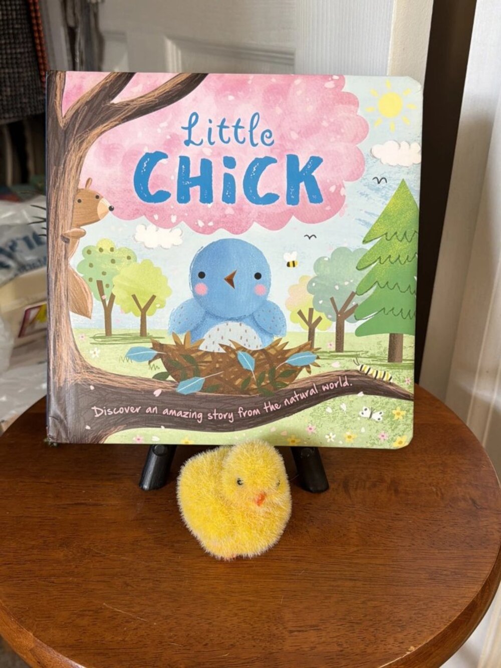 Little Chick-Discover an Amazing Story from the Natural World: Padded Board Book